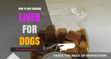 Drying Chicken Liver for Dogs: A Simple, Healthy Treat Guide