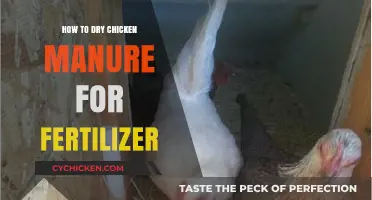 Drying Chicken Manure: A Step-by-Step Guide for Organic Fertilizer