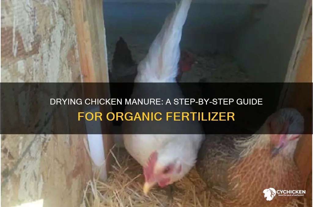how to dry chicken manure for fertilizer