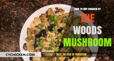 Perfectly Drying Chicken of the Woods Mushrooms: A Simple Step-by-Step Guide