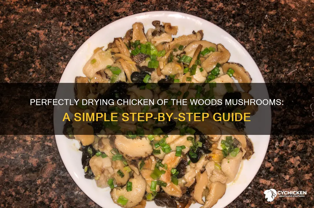 how to dry chicken of the woods mushrooms
