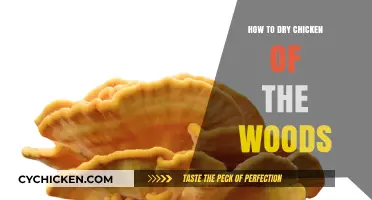 Perfectly Drying Chicken of the Woods: Tips for Preserving Its Flavor