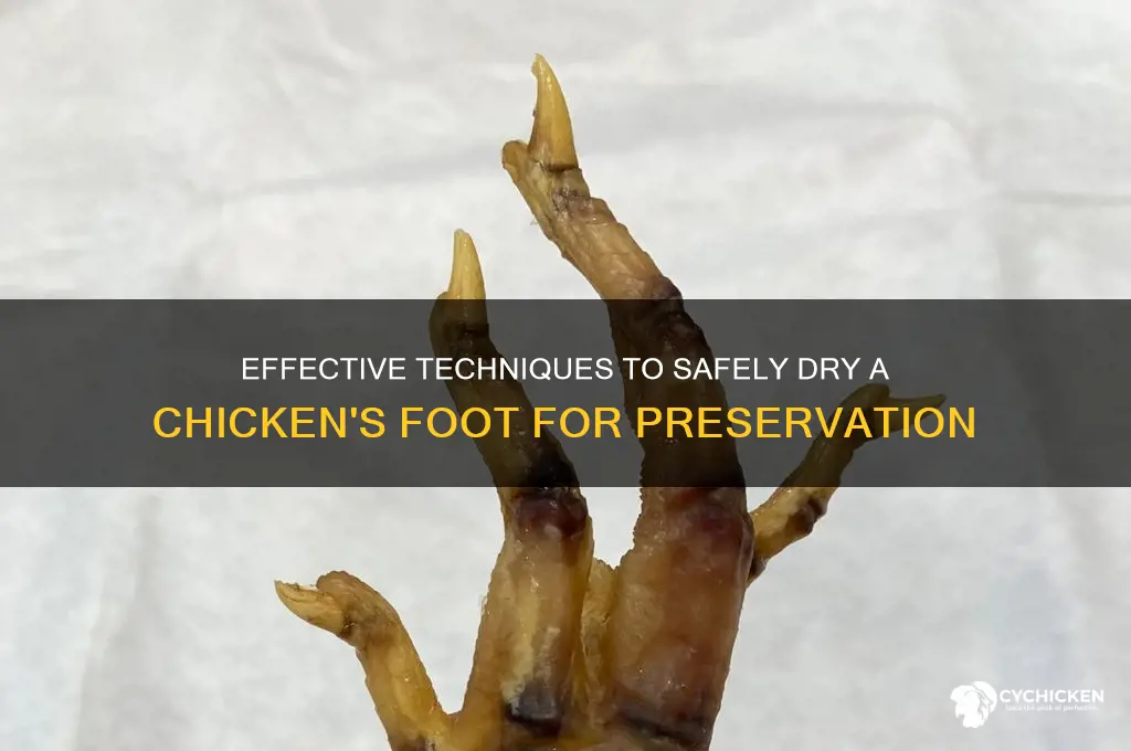 how to dry out a chicken