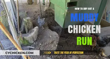 Quick Fixes to Dry and Clean Your Muddy Chicken Run