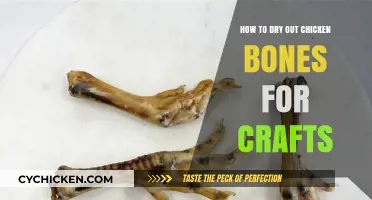 Crafting with Chicken Bones: A Simple Guide to Drying Them Out