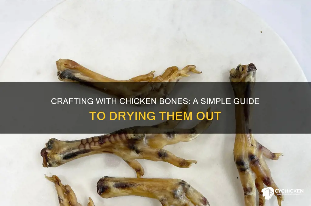 how to dry out chicken bones for crafts