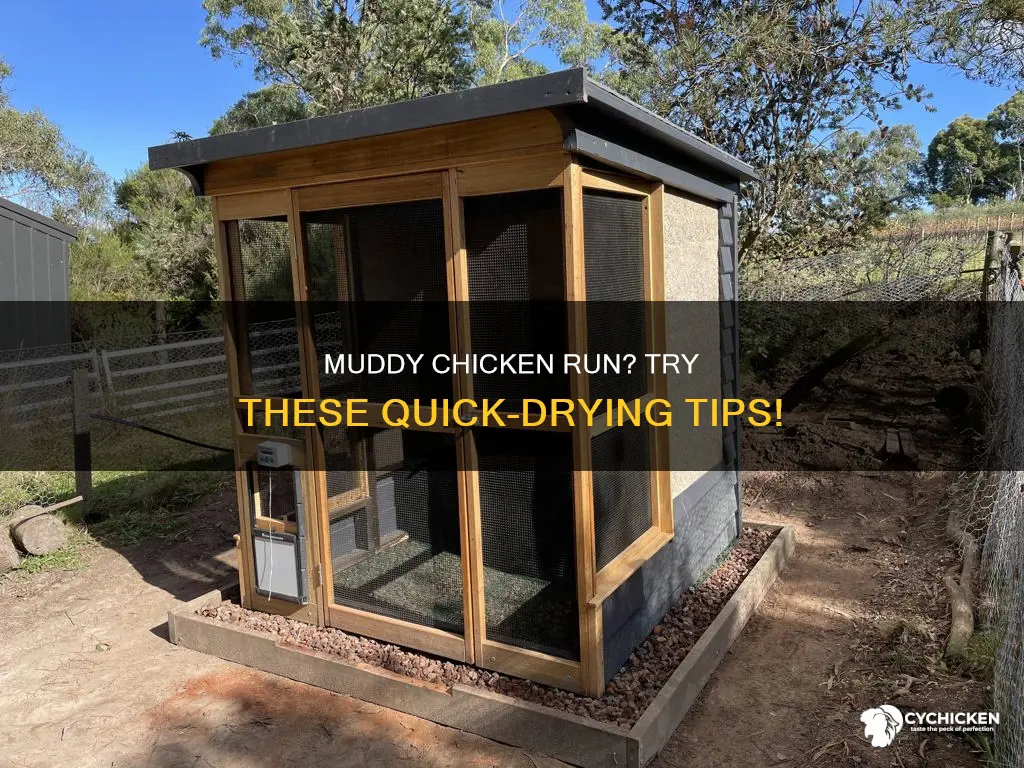 how to dry up mud in a chicken run
