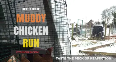 Effective Solutions to Dry and Clean Your Muddy Chicken Run Quickly