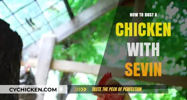 Effective Sevin Dusting Techniques for Healthy, Pest-Free Chickens