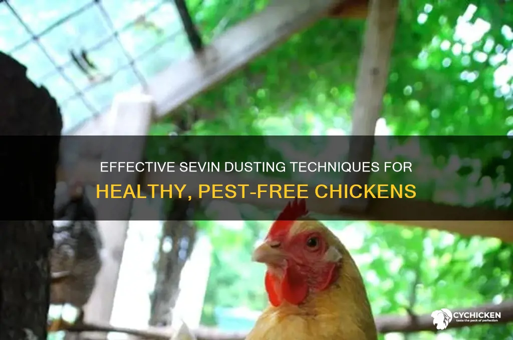 how to dust a chicken with sevin