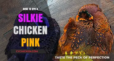 Dyeing Silkie Chickens Pink: A Step-by-Step Guide for Beginners