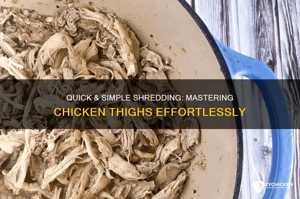 how to easily shred chicken thighs