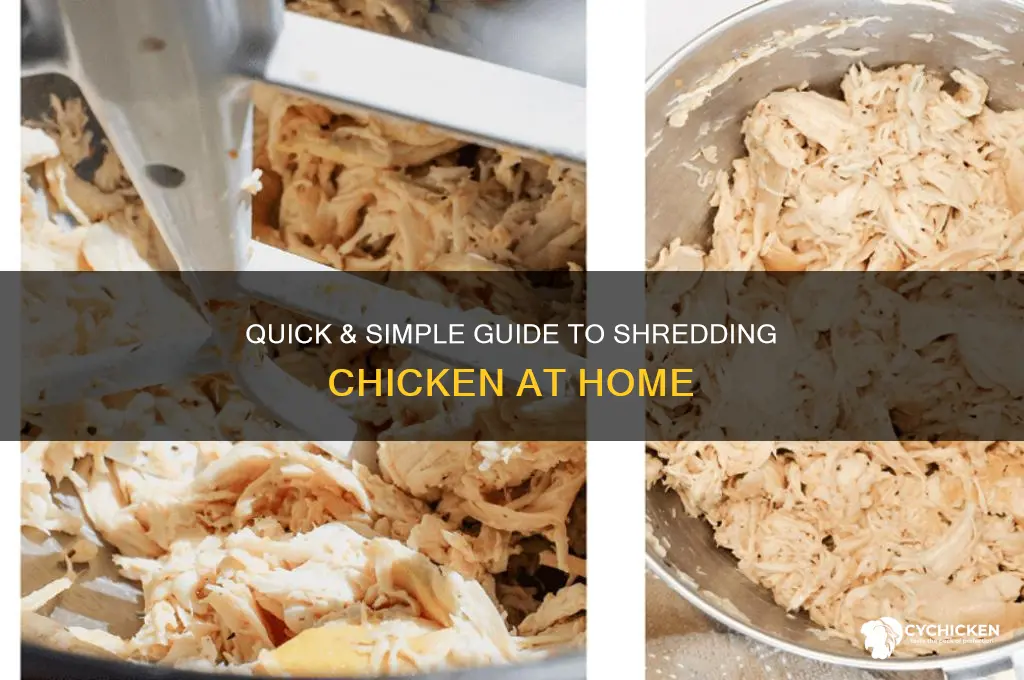 how to easily shred your own chicken