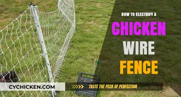 Electrifying Chicken Wire Fences: A Step-by-Step Guide for Farmers