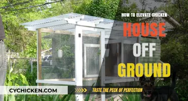 Elevate Your Chicken Coop: Simple Ground-Lifting Techniques for Success