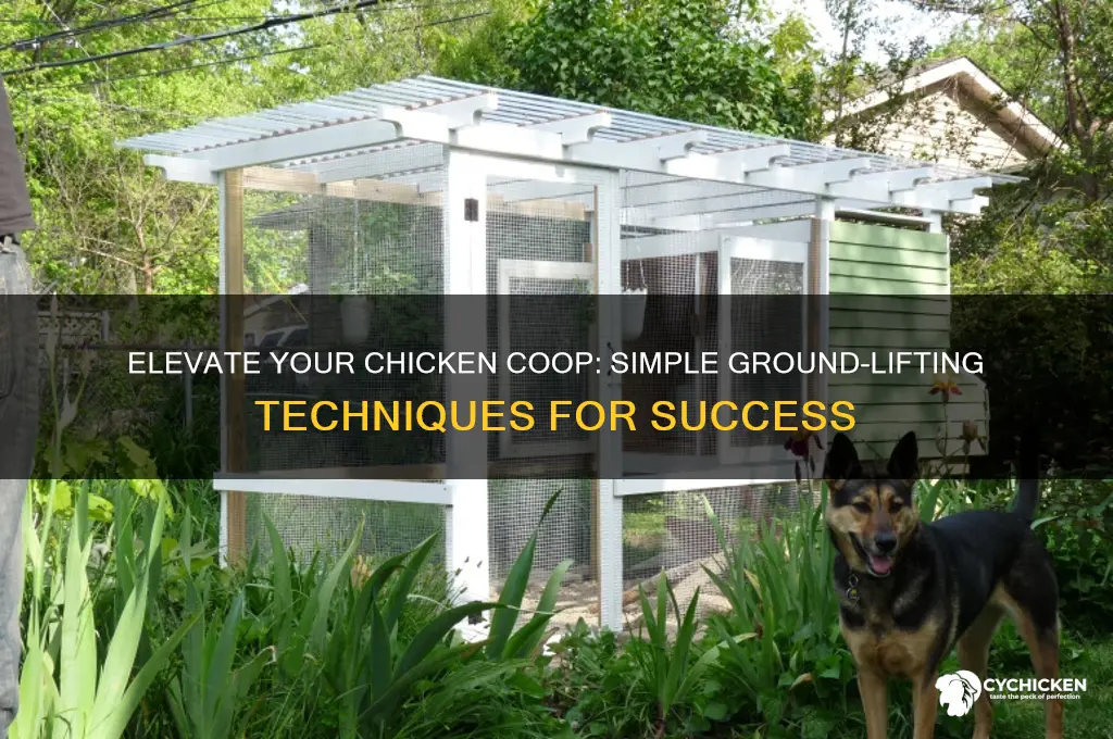 how to elevate chicken house off ground
