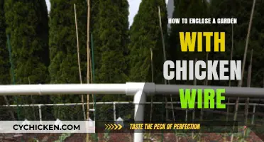 Secure Your Garden: Easy Chicken Wire Enclosure Guide
