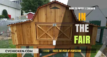 Showcasing Your Chicken: A Step-by-Step Guide to Fair Entry