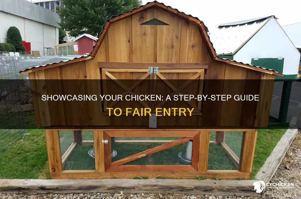 how to enter a chicken in the fair