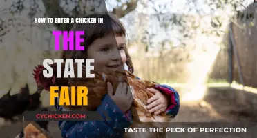 Guide to Entering Your Chicken in the State Fair