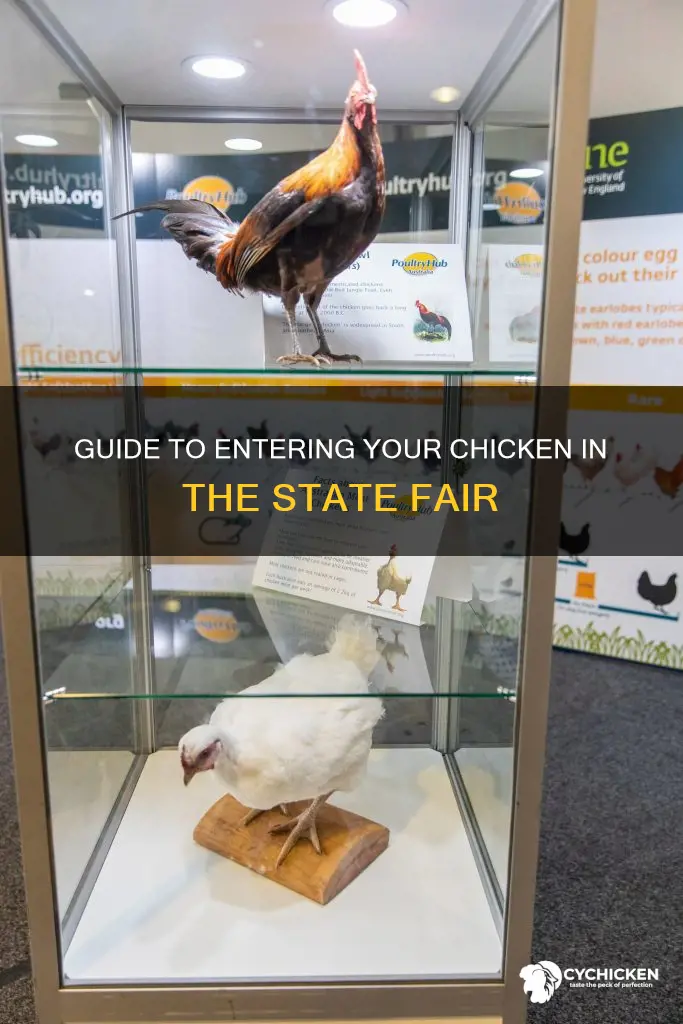 how to enter a chicken in the state fair