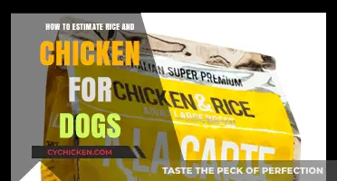 Estimating Rice and Chicken Portions for Your Dog's Balanced Diet