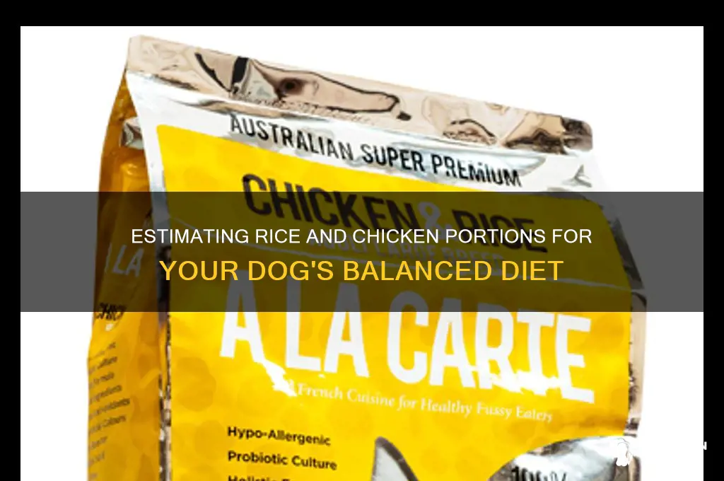 how to estimate rice and chicken for dogs