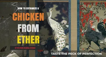 Euthanizing Chickens with Ether: A Step-by-Step Humane Guide
