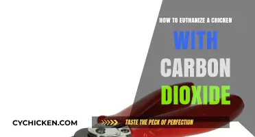Humane Chicken Euthanasia: Using Carbon Dioxide Safely and Effectively