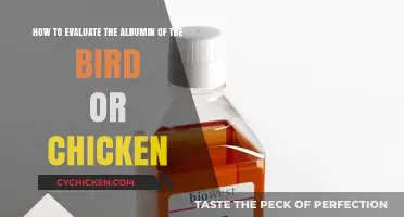 Evaluating Bird Albumin: A Quick Guide