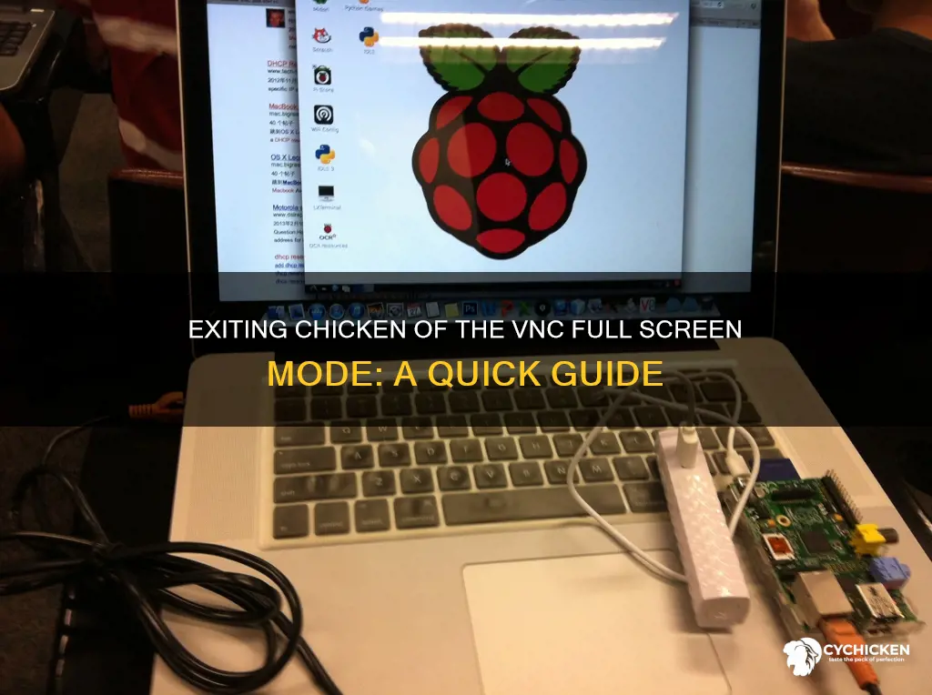 how to exit chicken of the vnc full screen