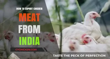 Exporting Chicken Meat from India: A Comprehensive Guide for Success