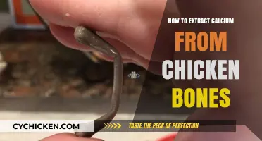 Extracting Calcium from Chicken Bones: A Simple DIY Guide