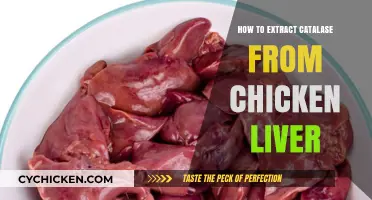 Simple Steps to Extract Catalase from Chicken Liver at Home
