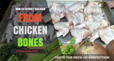 Unlocking Collagen: Simple Steps to Extract from Chicken Bones