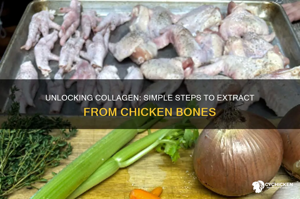 how to extract collagen from chicken bones