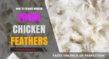 Sustainable Keratin Extraction: A Step-by-Step Guide Using Chicken Feathers