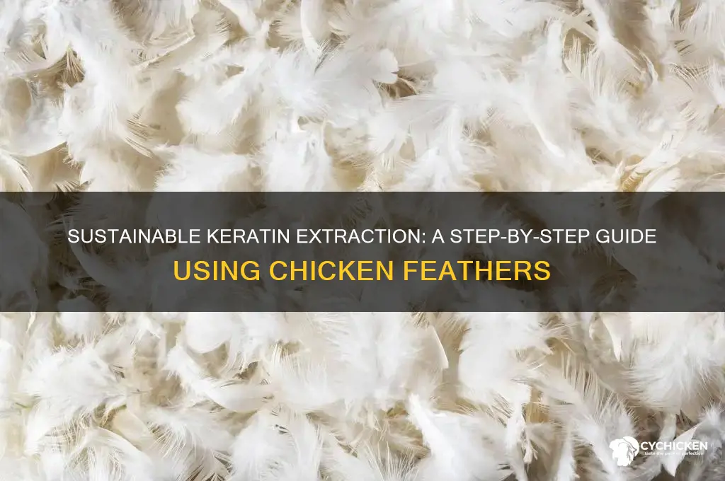 how to extract keratin from chicken feathers