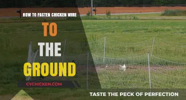 Secure Your Garden: Easy Steps to Fasten Chicken Wire to Ground