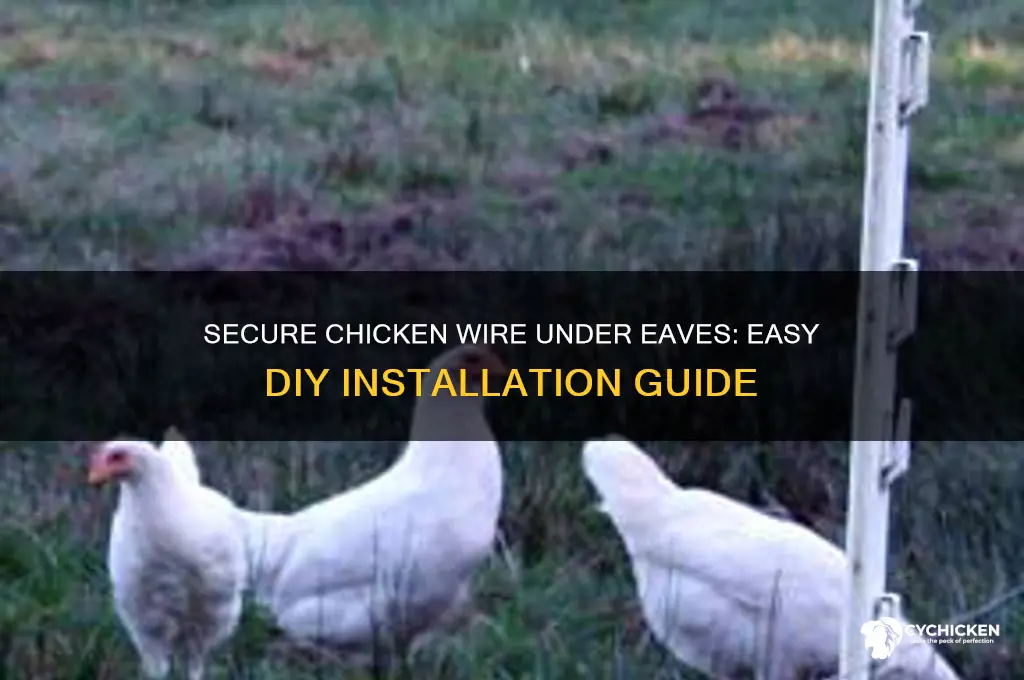 how to fasten chicken wire under eaves