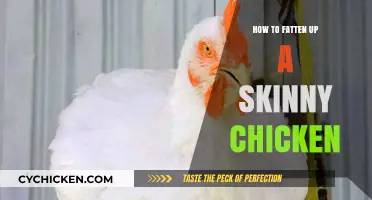 Effective Ways to Help Your Skinny Chicken Gain Healthy Weight
