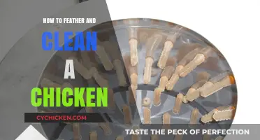 Mastering the Art of Feathering and Cleaning a Chicken Effortlessly