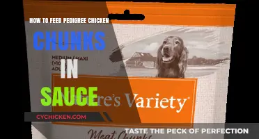 Delicious Feeding Tips: Serving Pedigree Chicken Chunks in Sauce to Your Dog