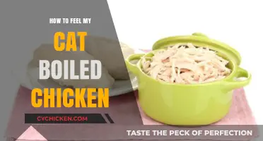 Safely Preparing Boiled Chicken for Your Cat: A Step-by-Step Guide