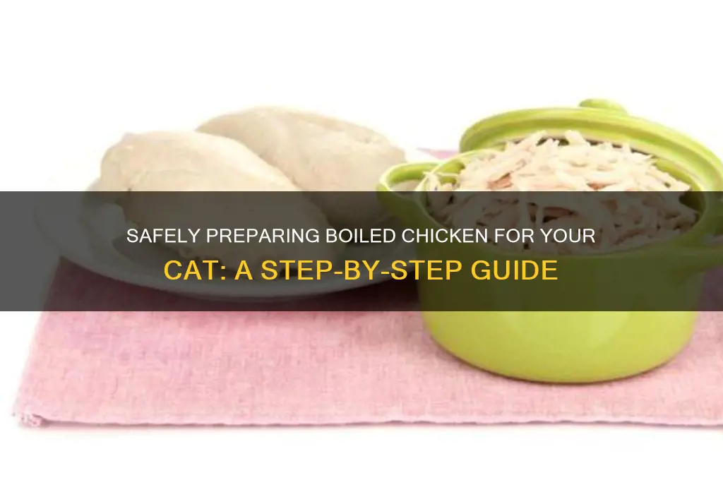 how to feel my cat boiled chicken