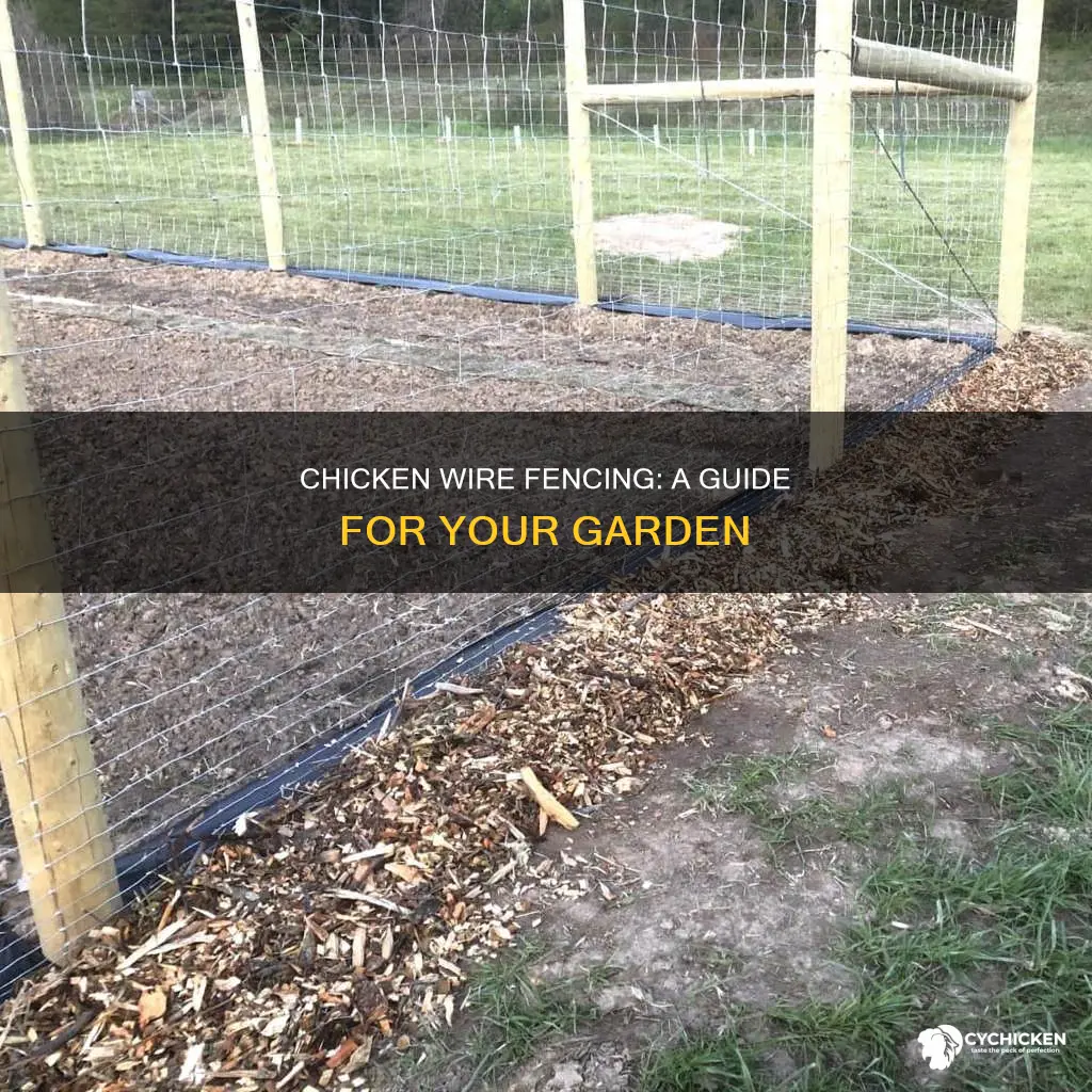 how to fence in a garden with chicken wire