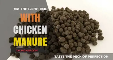 Boost Fruit Tree Growth: Fertilizing with Chicken Manure Guide
