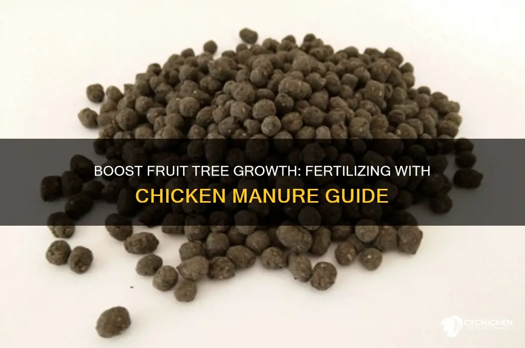 how to fertilize fruit trees with chicken manure