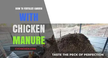 Boost Your Garden's Growth: Fertilizing with Chicken Manure Tips