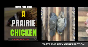 Mastering Field Dressing: A Guide to Prairie Chicken Preparation